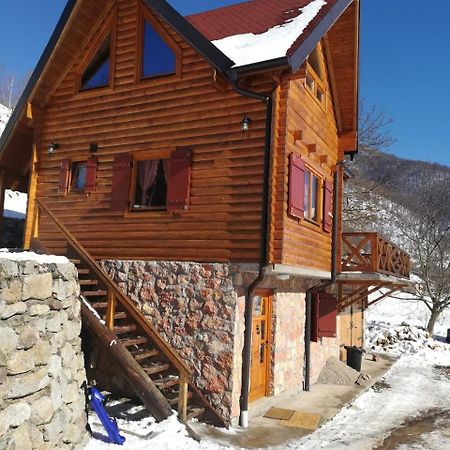 Vila Jelena Crni Vrh Bagian luar foto