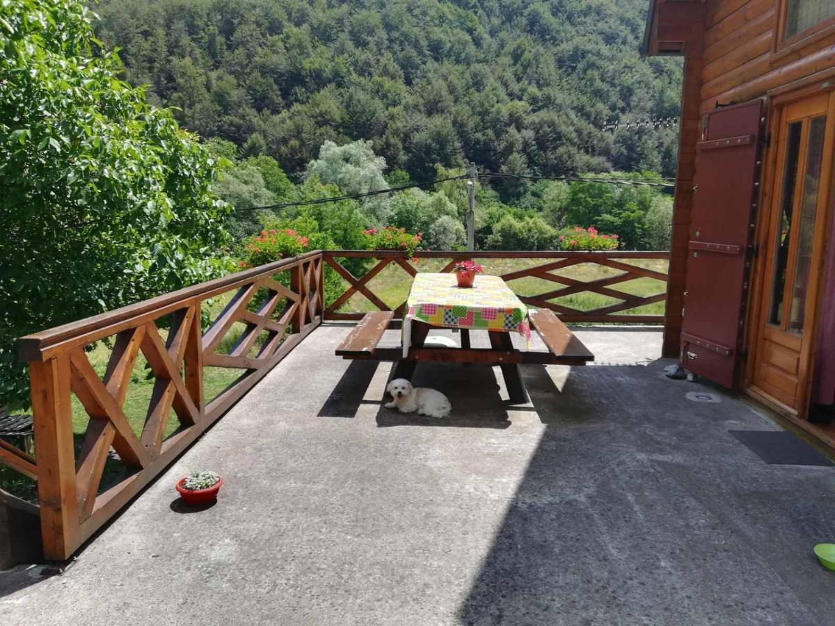 Vila Jelena Crni Vrh Bagian luar foto