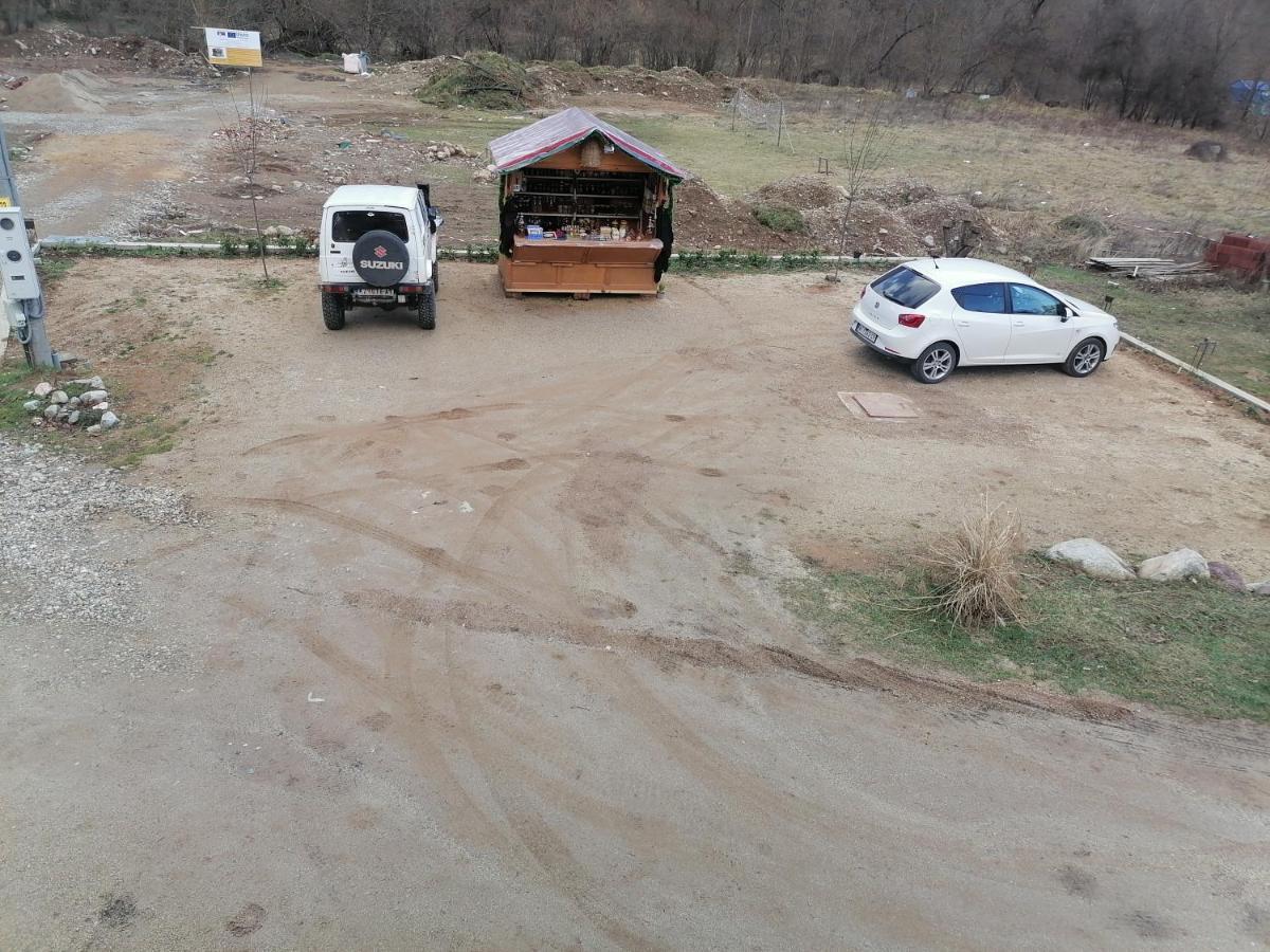 Vila Jelena Crni Vrh Bagian luar foto
