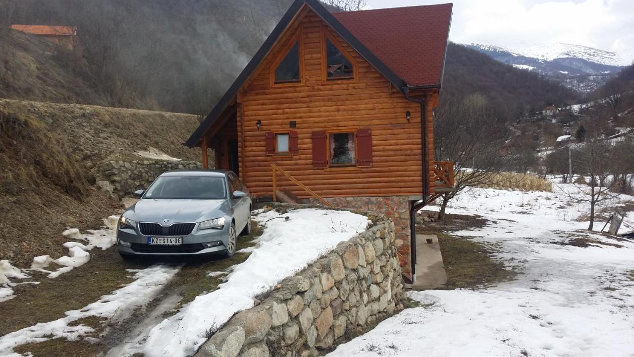Vila Jelena Crni Vrh Bagian luar foto