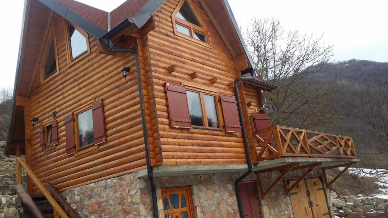 Vila Jelena Crni Vrh Bagian luar foto