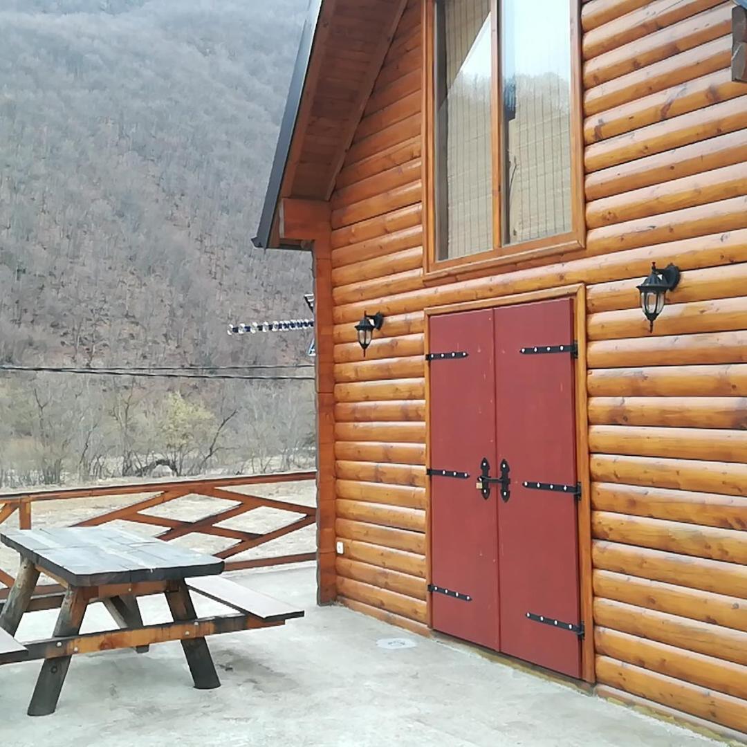 Vila Jelena Crni Vrh Bagian luar foto