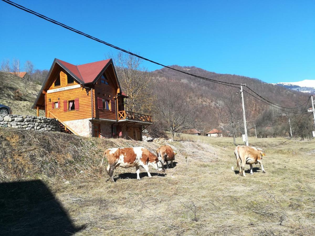 Vila Jelena Crni Vrh Bagian luar foto